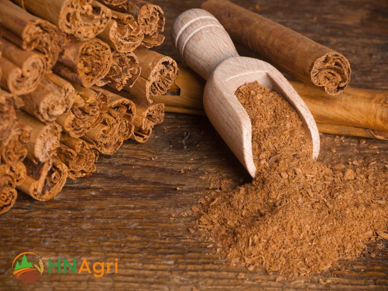 ceylon-cinnamon-stick-a-must-have-spice-for-wholesale-traders-1