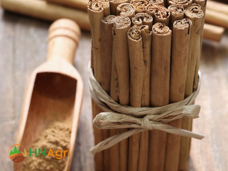 ceylon-cinnamon-stick-a-must-have-spice-for-wholesale-traders-2