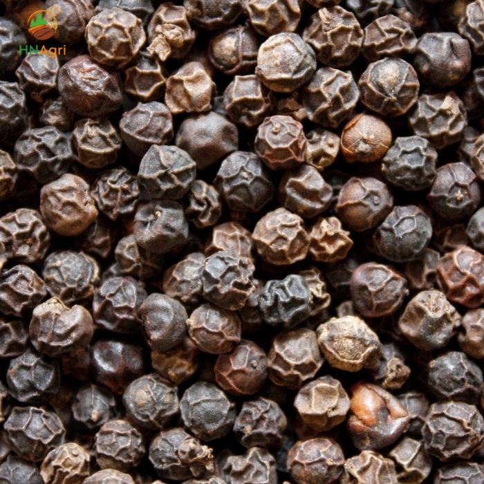 exploring-global-trade-policies-and-vietnamese-black-pepper-prices-23