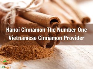 hanoi-cinnamon-the-number-one-vietnamese-cinnamon-provider