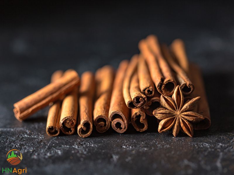 hanoi-cinnamon-the-number-one-vietnamese-cinnamon-provider-2