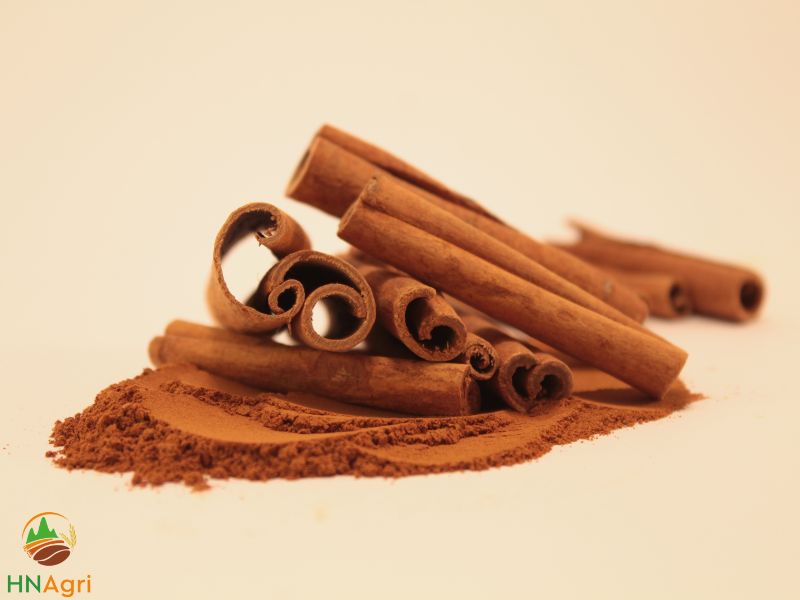 hanoi-cinnamon-the-number-one-vietnamese-cinnamon-provider-1