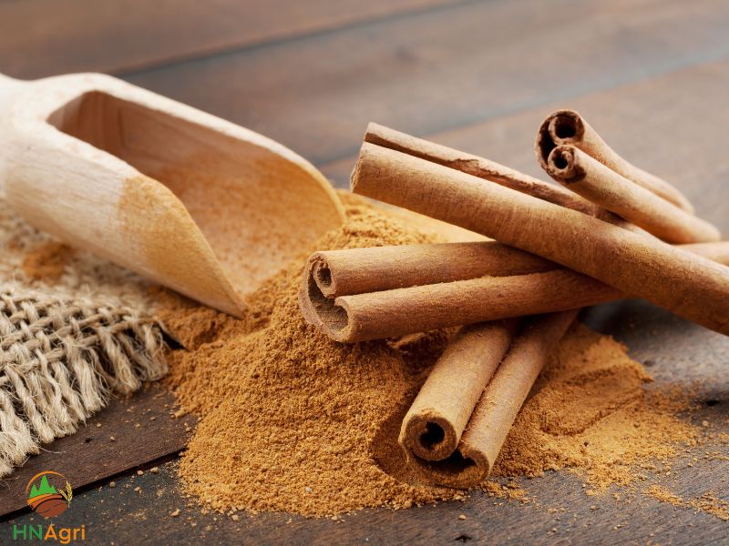 increasing-potential-profits-of-saigon-cinnamon-2