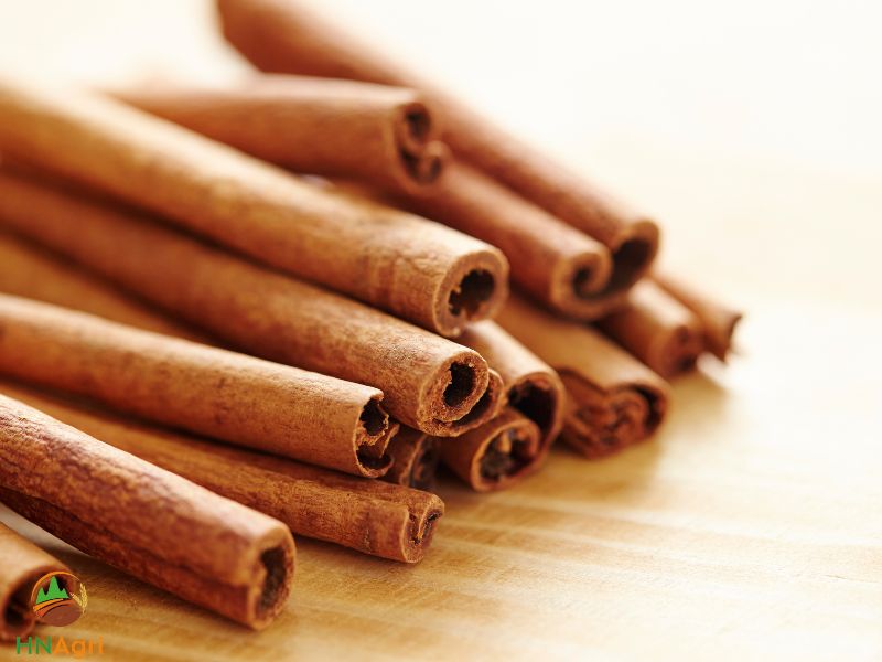 increasing-potential-profits-of-saigon-cinnamon-1