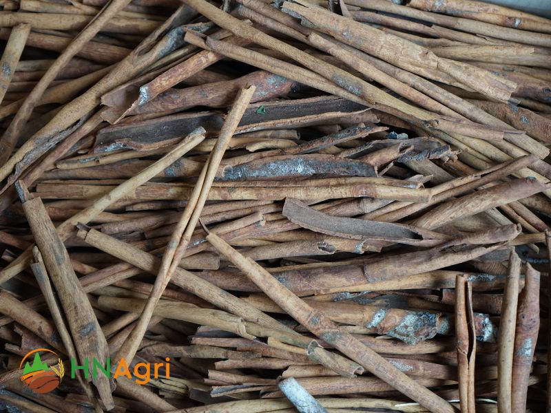 cassia-vs-ceylon-cinnamon-unraveling-the-differences-2