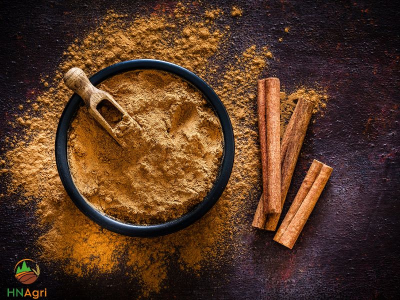 ground-cinnamon-a-complete-guide-for-health-benefits-2